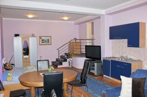 Apartmanska soba “President”- Antonio - Pension Zagreb