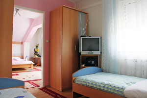 Apartmanska soba "President" - Danijel - Pension Zagreb